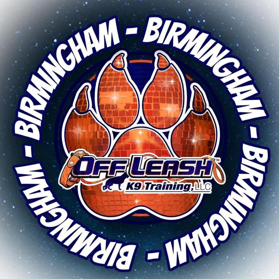 Birmingham Dog Trainers, Off Leash K9 Training