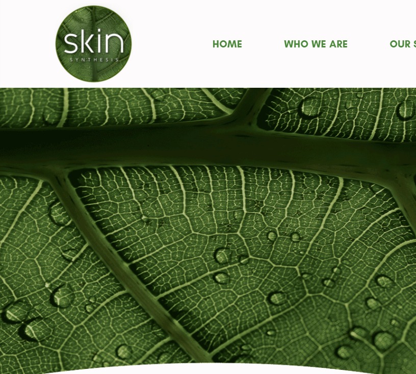 Skin Synthesis Clinic & Spa