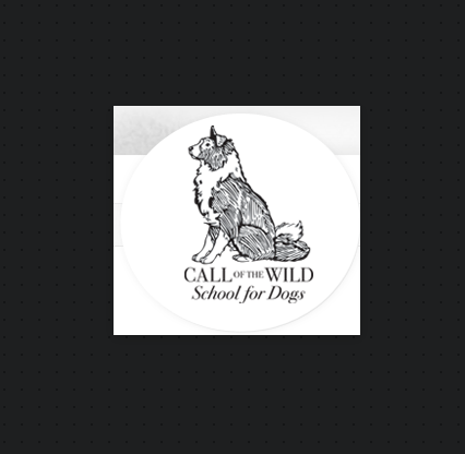 Call Of The Wild School For Dogs