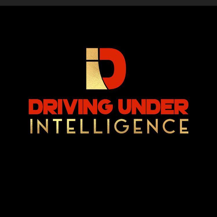 Driving Under Intelligence DUI & Defensive Driving School LLC
