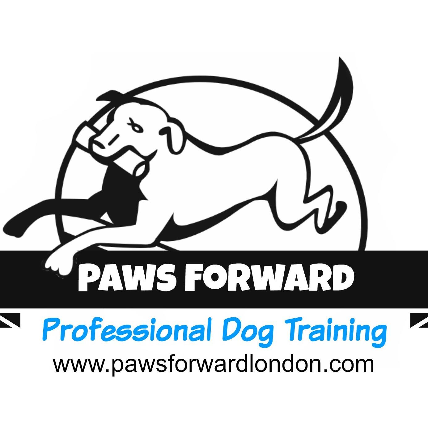 Paws Forward Dog Training