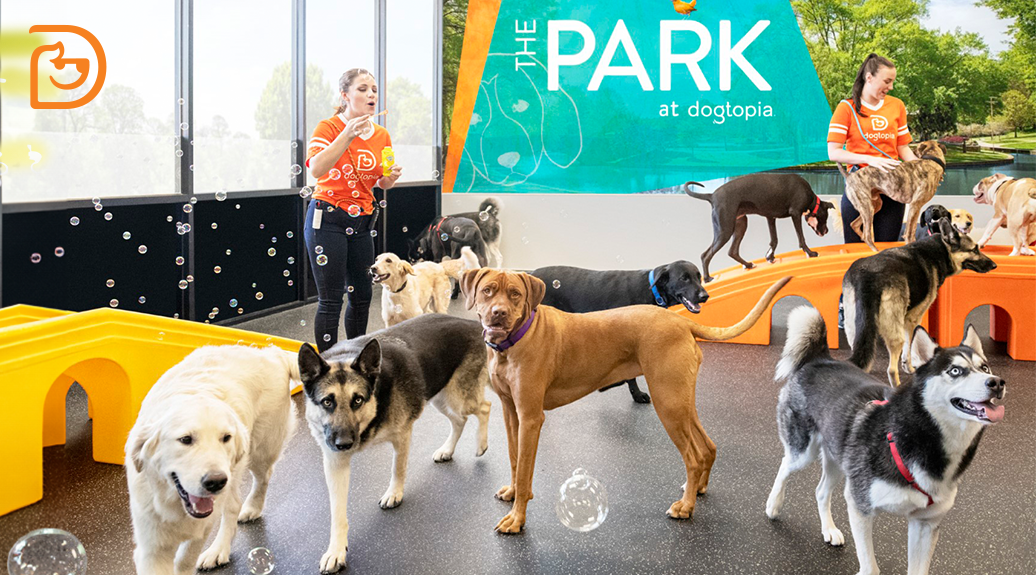 Dogtopia of Scottsdale-Raintree