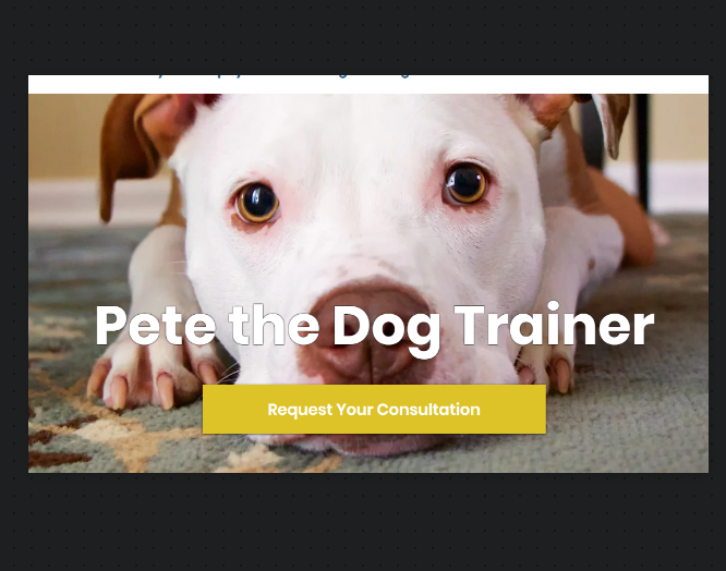 Pete the Dog Trainer