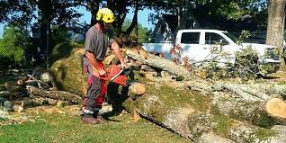 RGP Tree Service