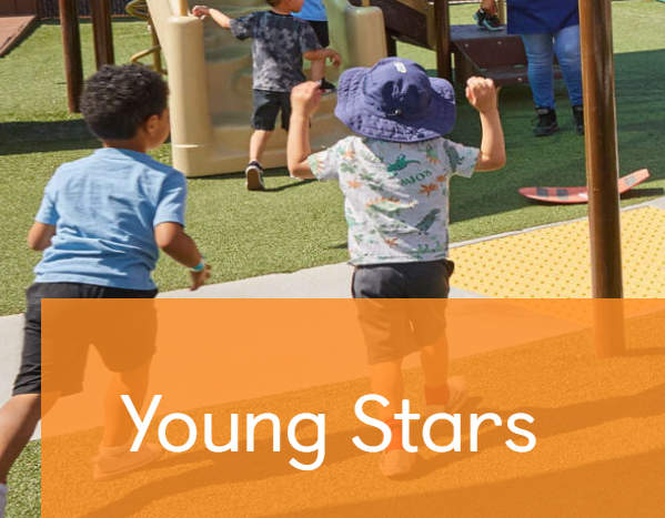 Young Stars