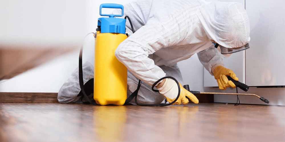 Orkin Canada Pest Control Saskatoon