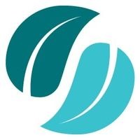 Massage Theory