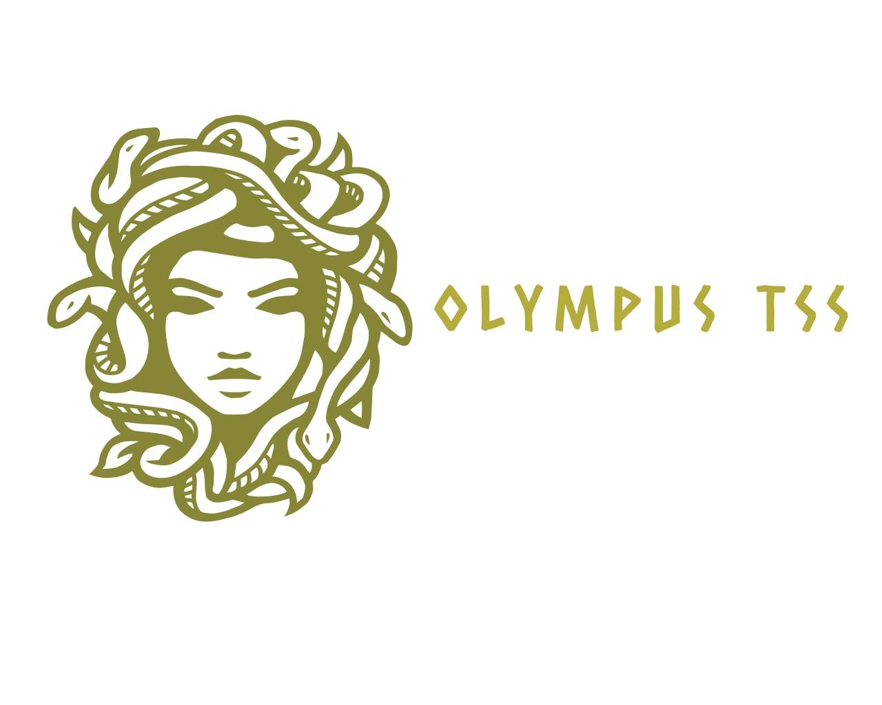 Olympus traffic survival school