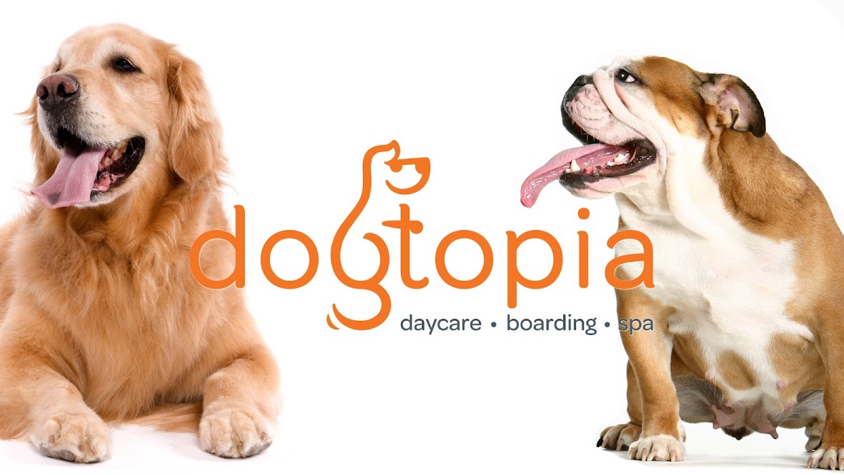Dogtopia of North Austin