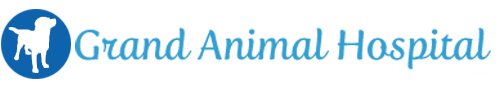 Grand Animal Hospital