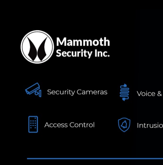 Mammoth Security Inc. West Hartford