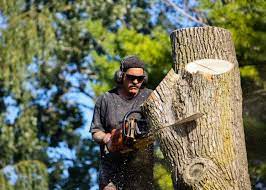 Tree Service Pros