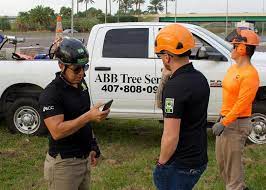 ABB Tree Service