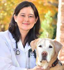 Veterinary Emergency Group