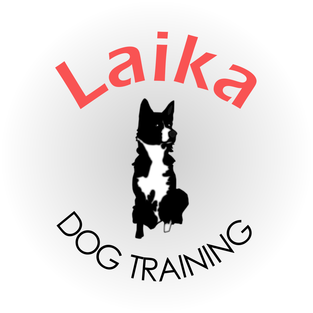 Laika Dog Training
