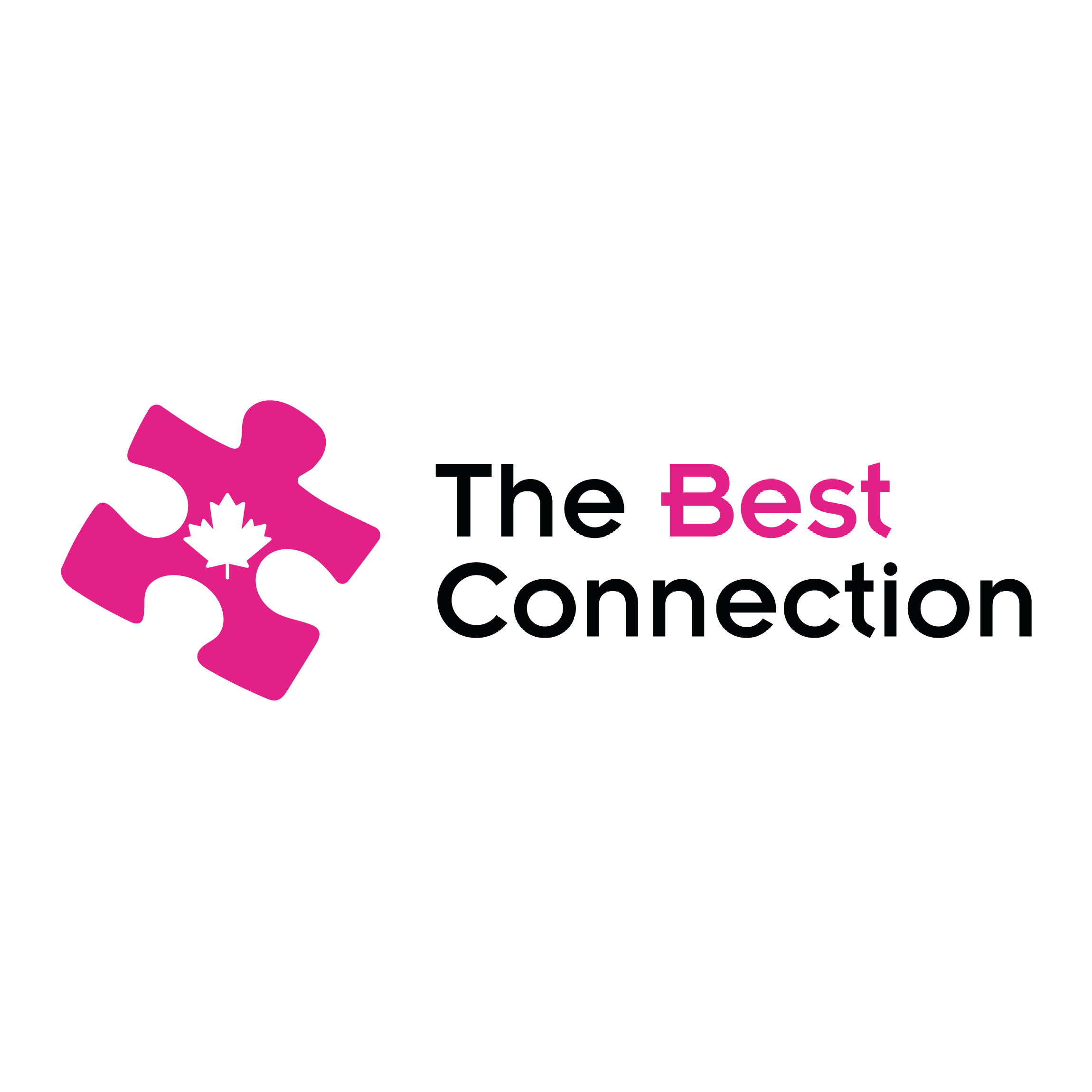 The Best Connection Inc. - Hamilton