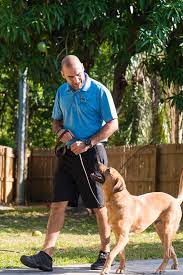 Canines Alberta Professional Dog Training reviews