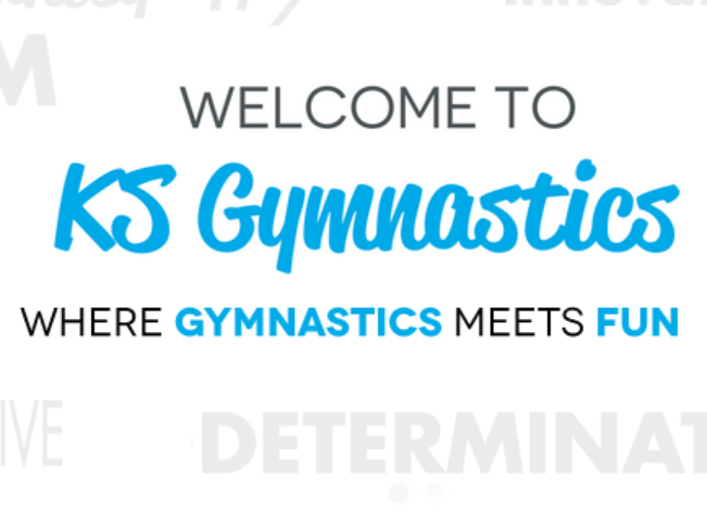 Kyle Shewfelt Gymnastics