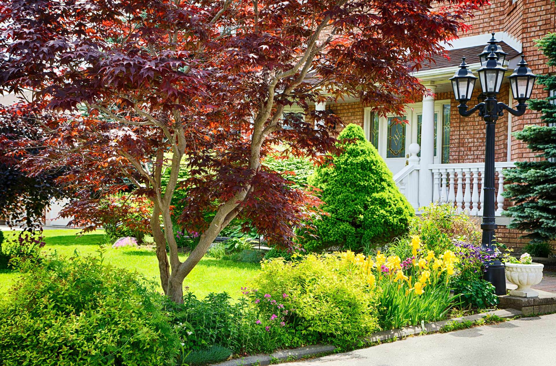 Homestead Trees LLC