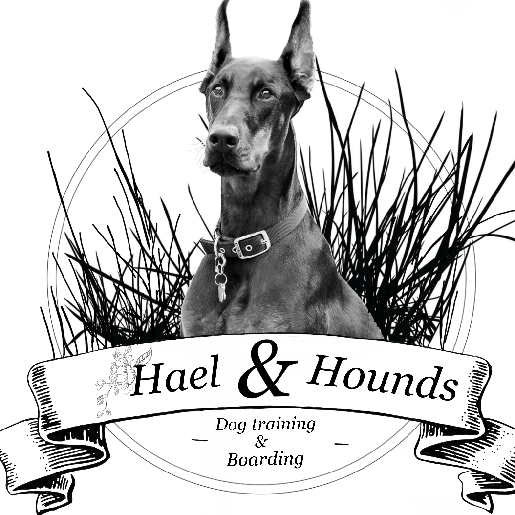 Hael & Hounds