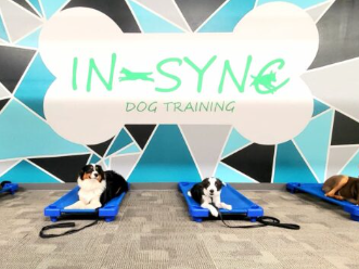 In-Sync Dog Training