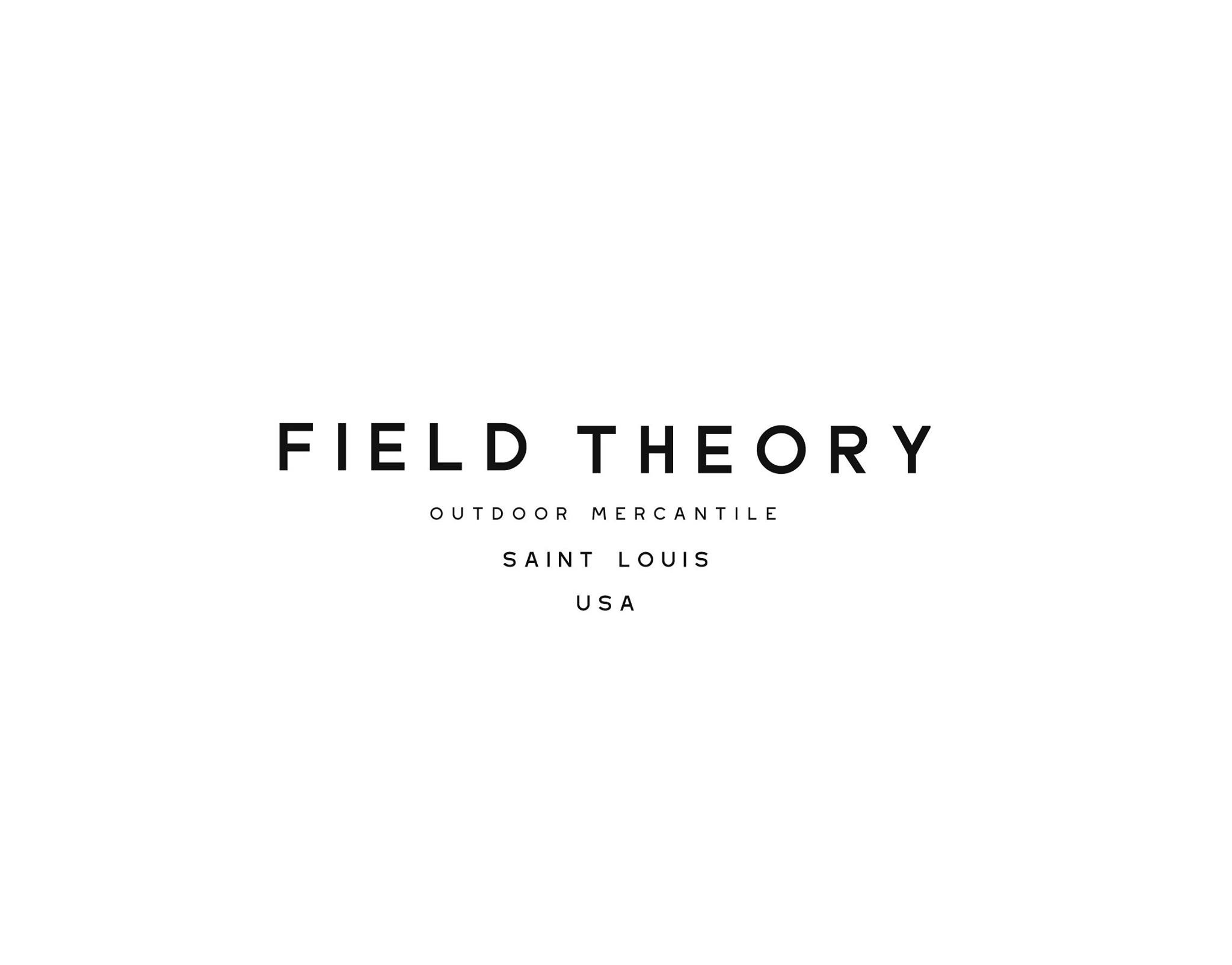 Field Theory