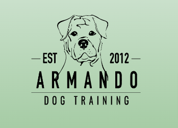 Armando Dog Training