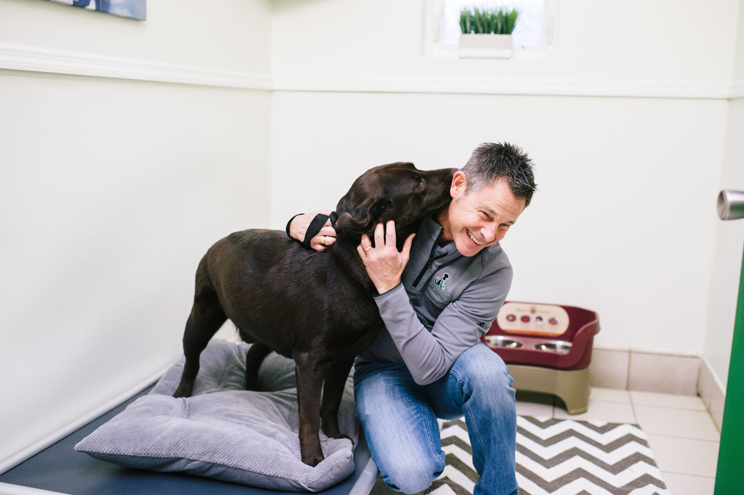Wag-A-Tail Doggie Daycare
