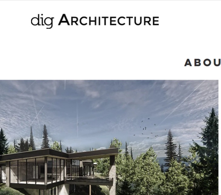 dig Architecture LLC