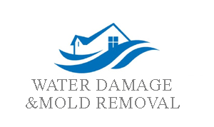 NYC Water Damage and Mold Removal