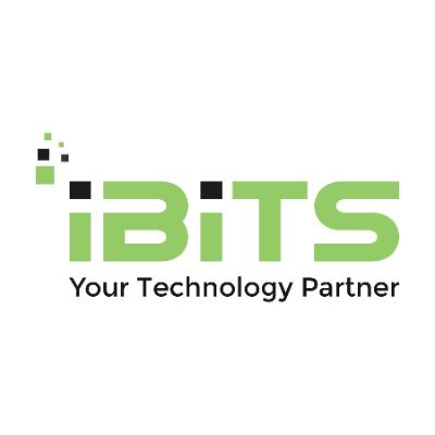 IBITS - IT Support for Your Business
