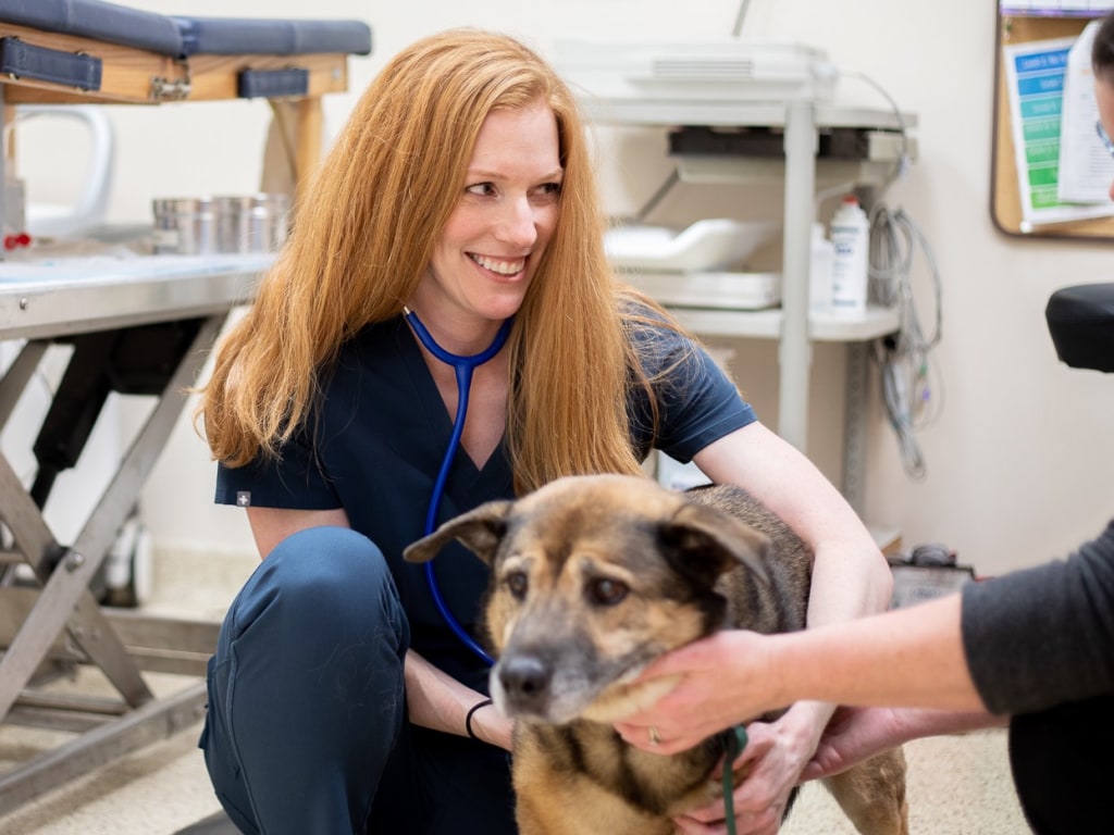 Woodridge Veterinary Clinic