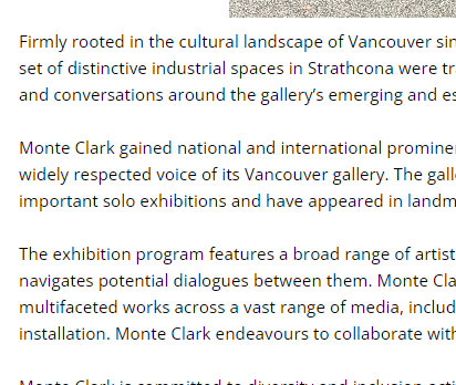 Monte Clark Gallery
