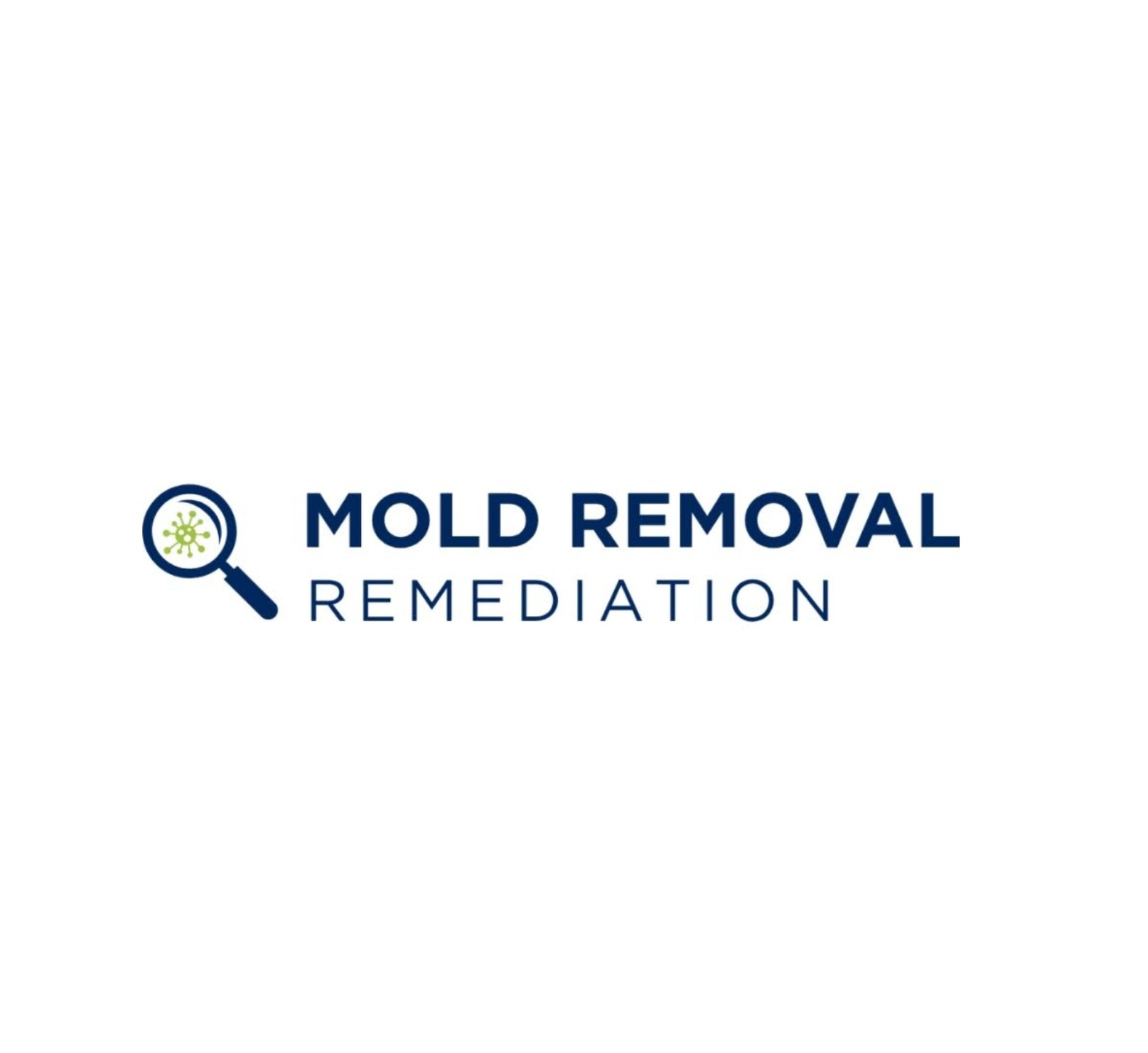 Mold Removal Remediation