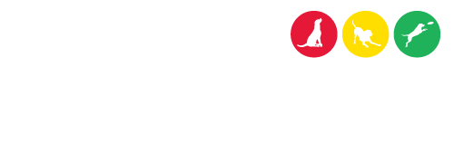 DogPlay