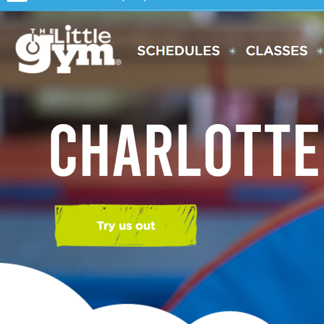 The Little Gym of Charlotte