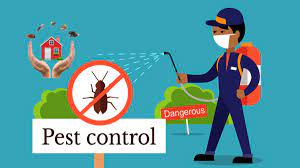 Chem-free Organic Pest & Lawn Services