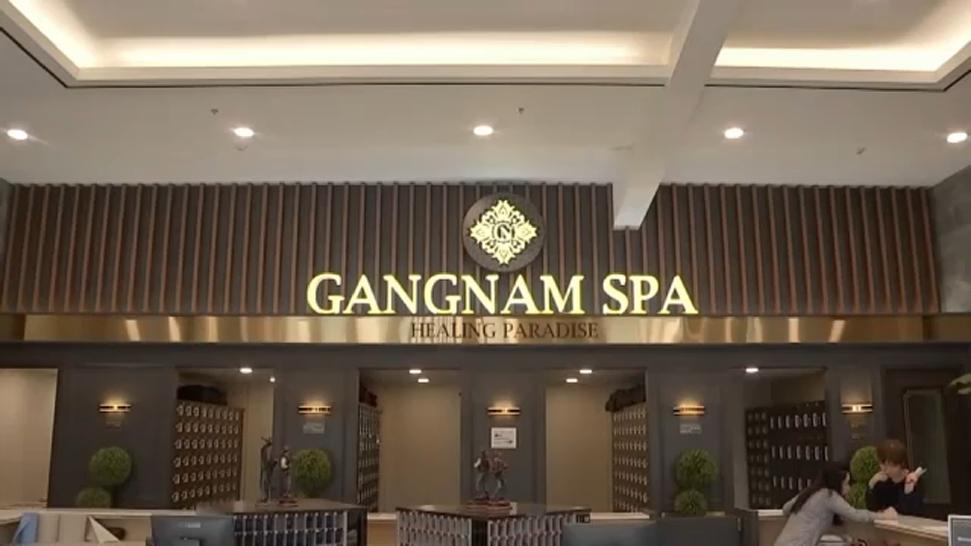 Gangnam Spa Healing Paradise
