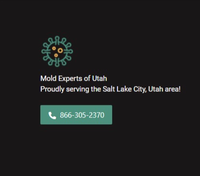 Mold Experts of Utah