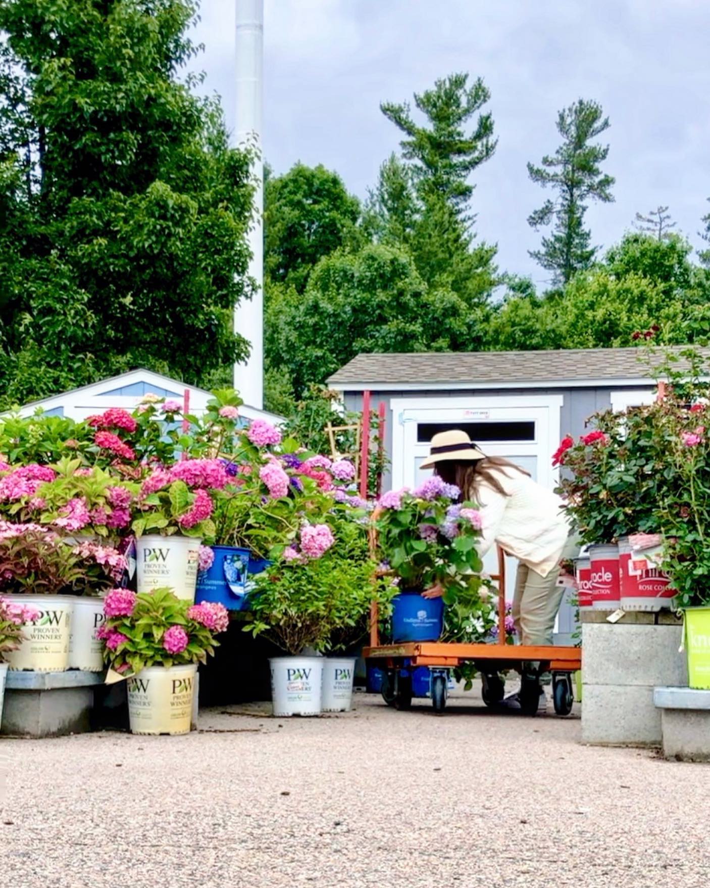 Garden Centre at The Home Depot
