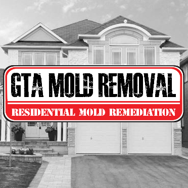 GTA Mold Removal Brampton