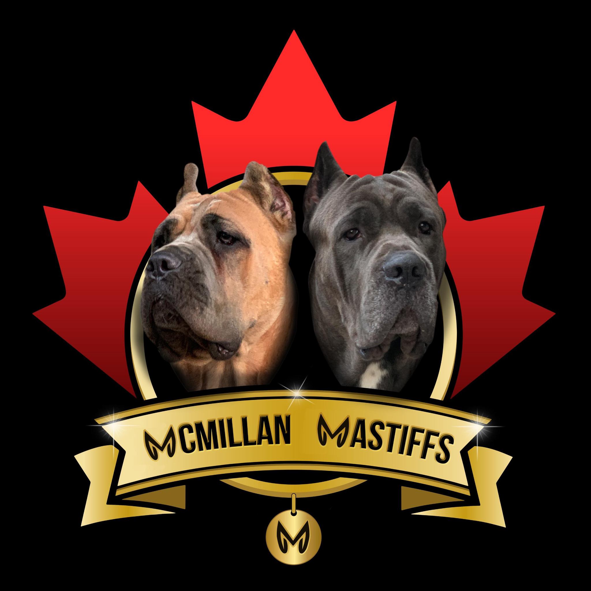McMillan Mastiffs