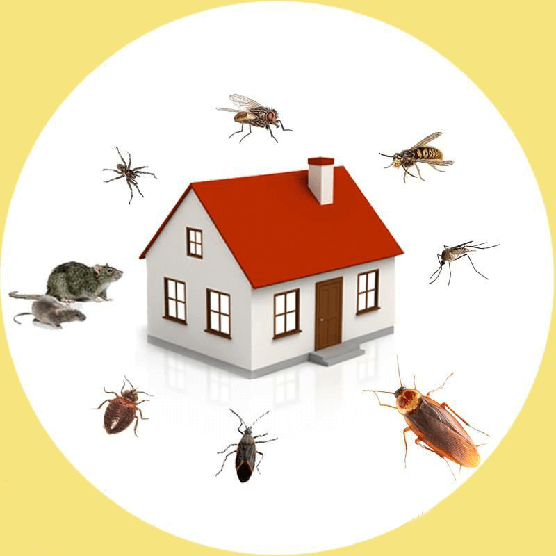 Nature's Way Property Services
