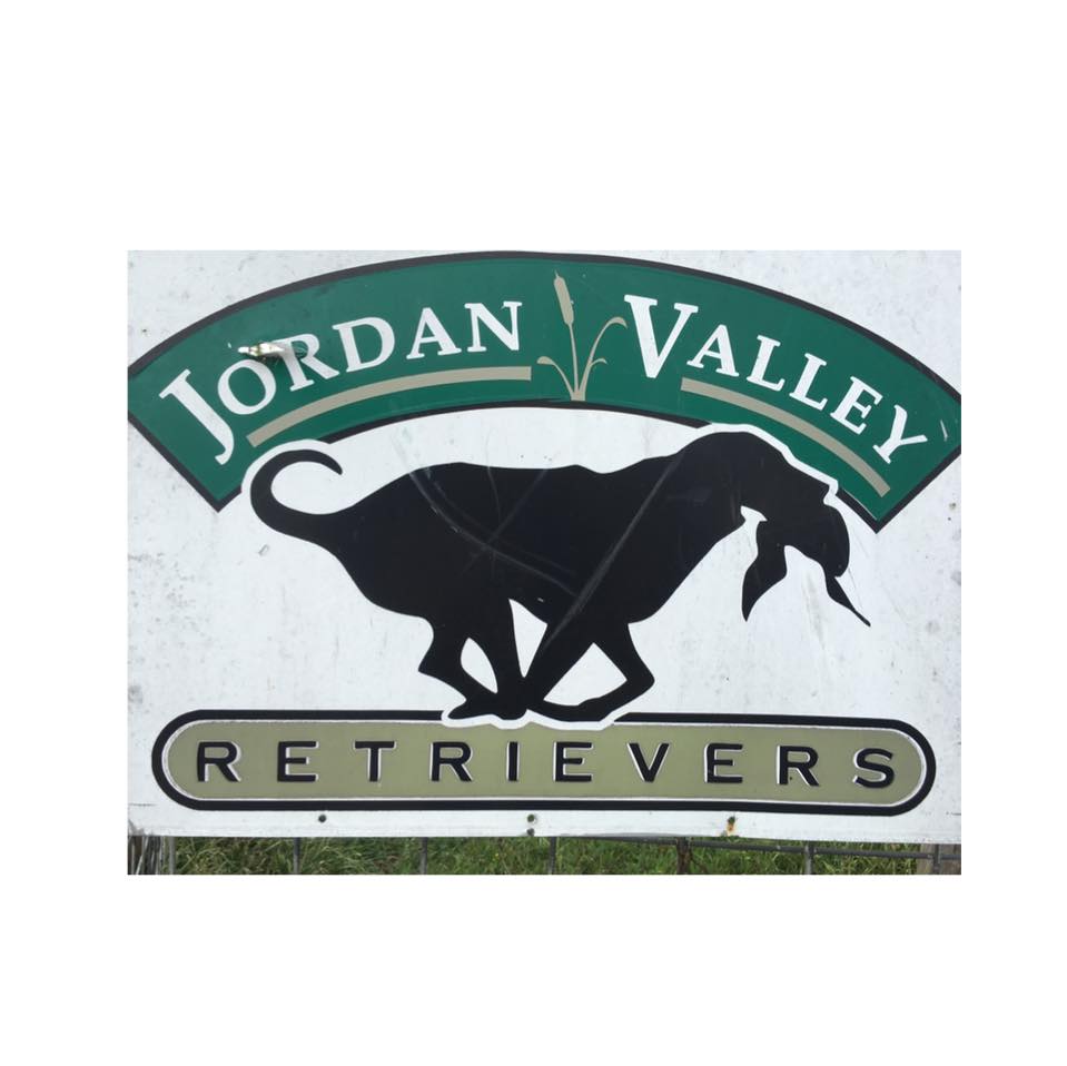 Jordan Valley Retrievers