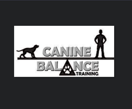 Canine Balance Training
