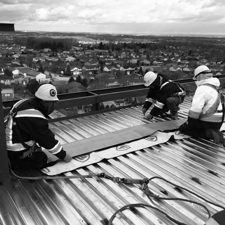 Cox Roofing Systems