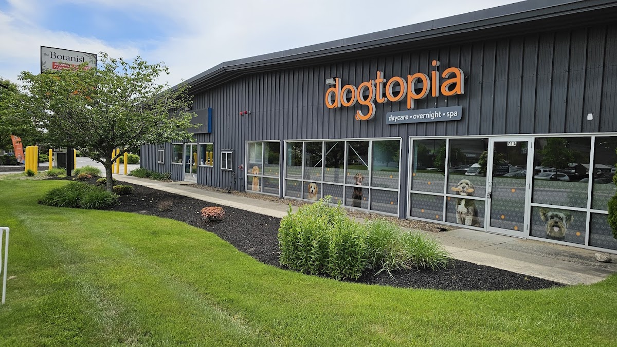 Dogtopia of North Worcester