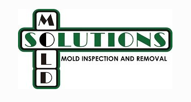 Mold Solutions