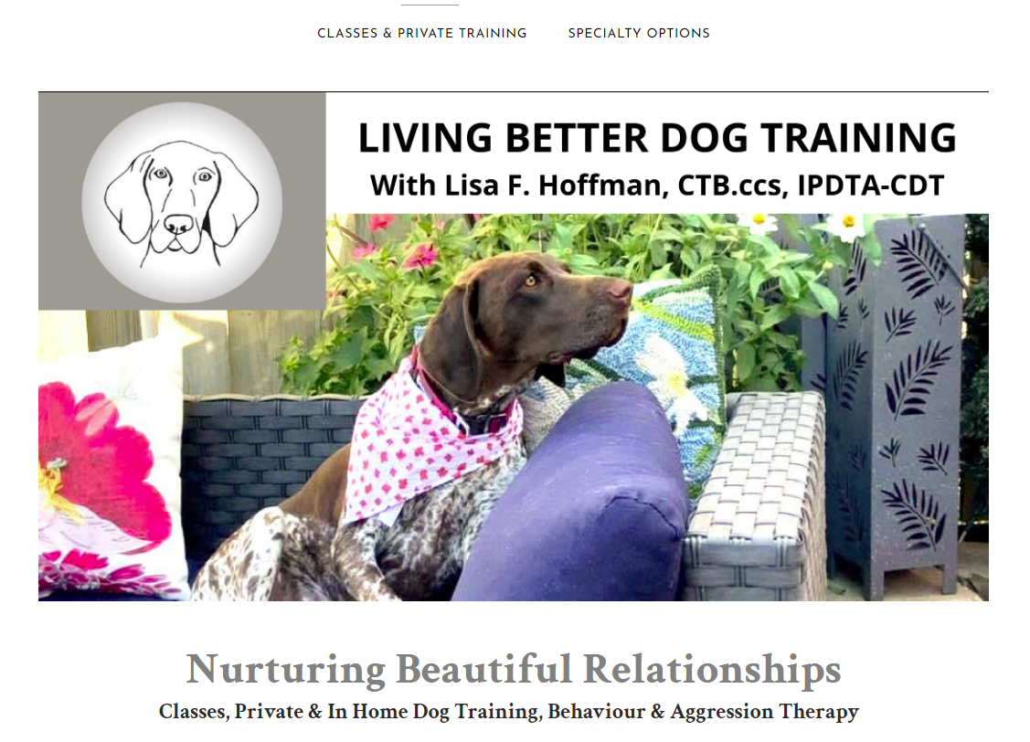 Living Better Dog Training