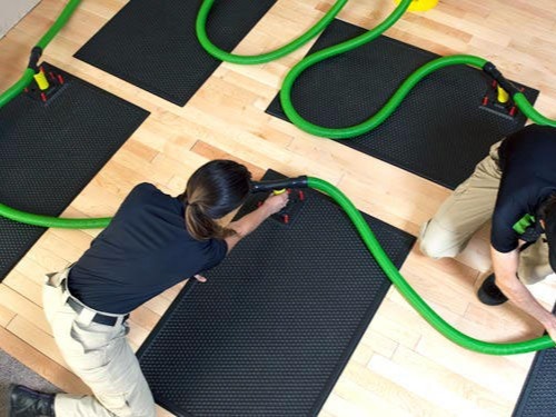 SERVPRO of Kirkland